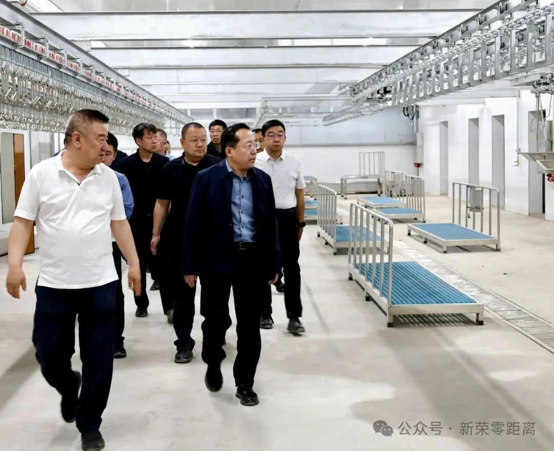 新榮區委書記劉中文深入鄉村調研農業農村領域工作
